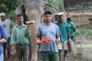 Mahout Care