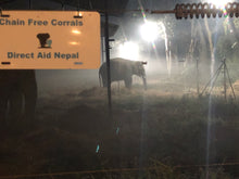 Load image into Gallery viewer, A Day with the Elephants