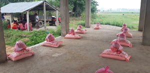 Feed a Family
